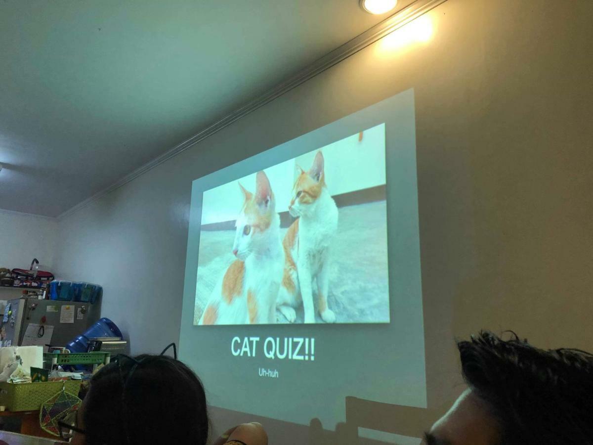 Cat＆Japanese Only At Uh-Huh House Cebu Exterior foto